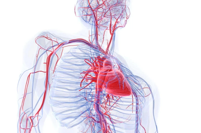 Aorta yorilishi (diseksiya): sabablari, belgilari va davolash