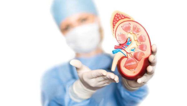 Buyrak transplantatsiyasidan keyingi hayot