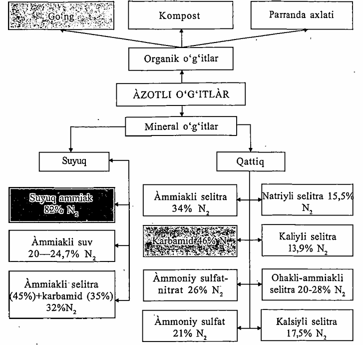 Azotli o'g'itlar haqida