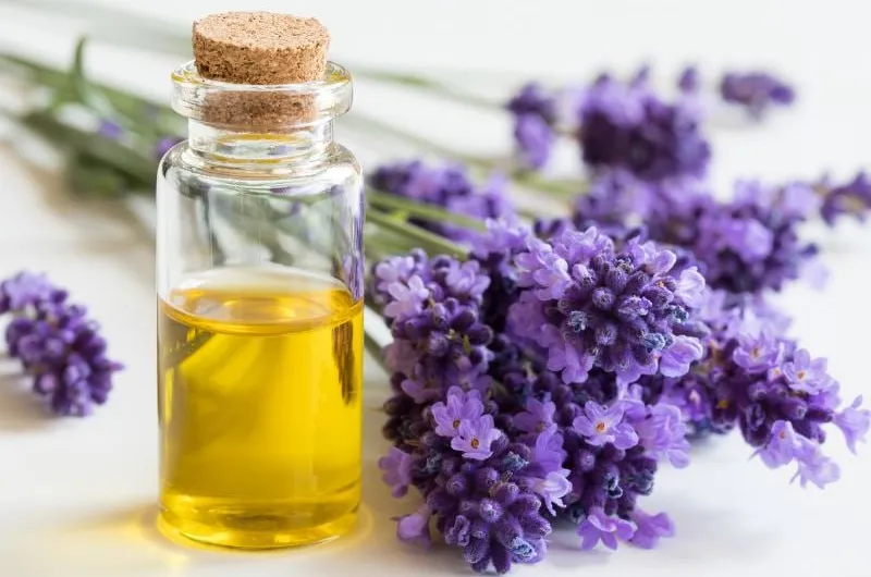 Asab, Nevroz, Stress va Depressiya: Uy Sharoitida Tabiiy Davolash Usullari