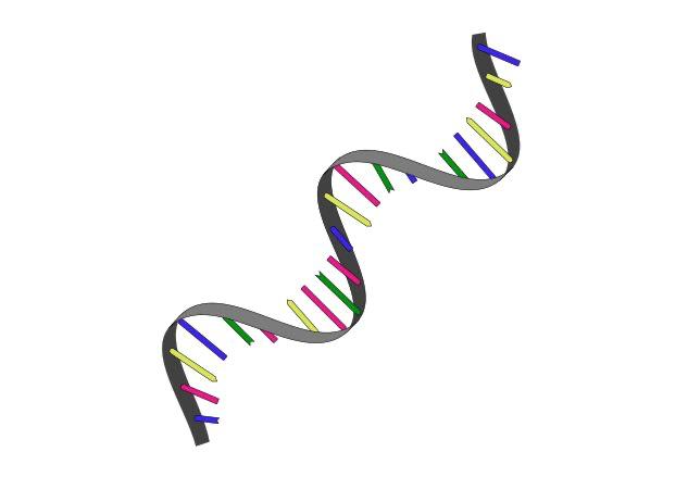 RNK va Uning Biologiyadagi Ahamiyati