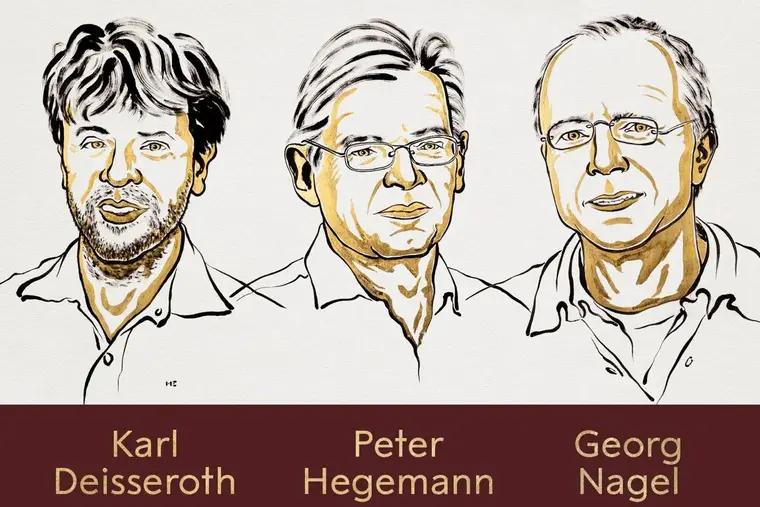 2026-yilgi tibbiyot Nobel mukofoti optogenetika uchun berildi